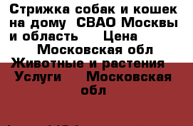 Стрижка собак и кошек на дому. СВАО Москвы и область.  › Цена ­ 1 500 - Московская обл. Животные и растения » Услуги   . Московская обл.